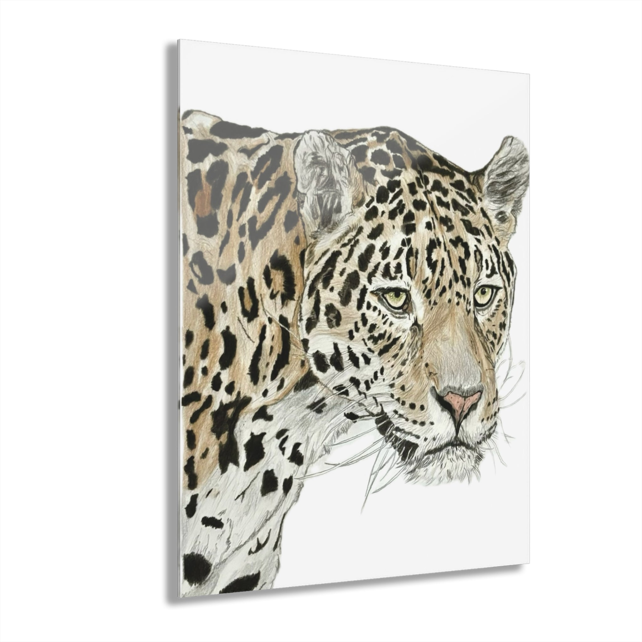 Jaguaridus