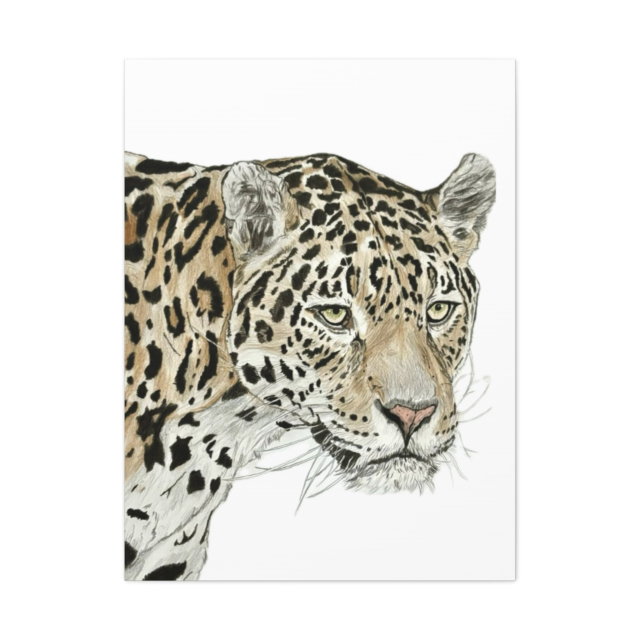 Jaguaridus Canvas