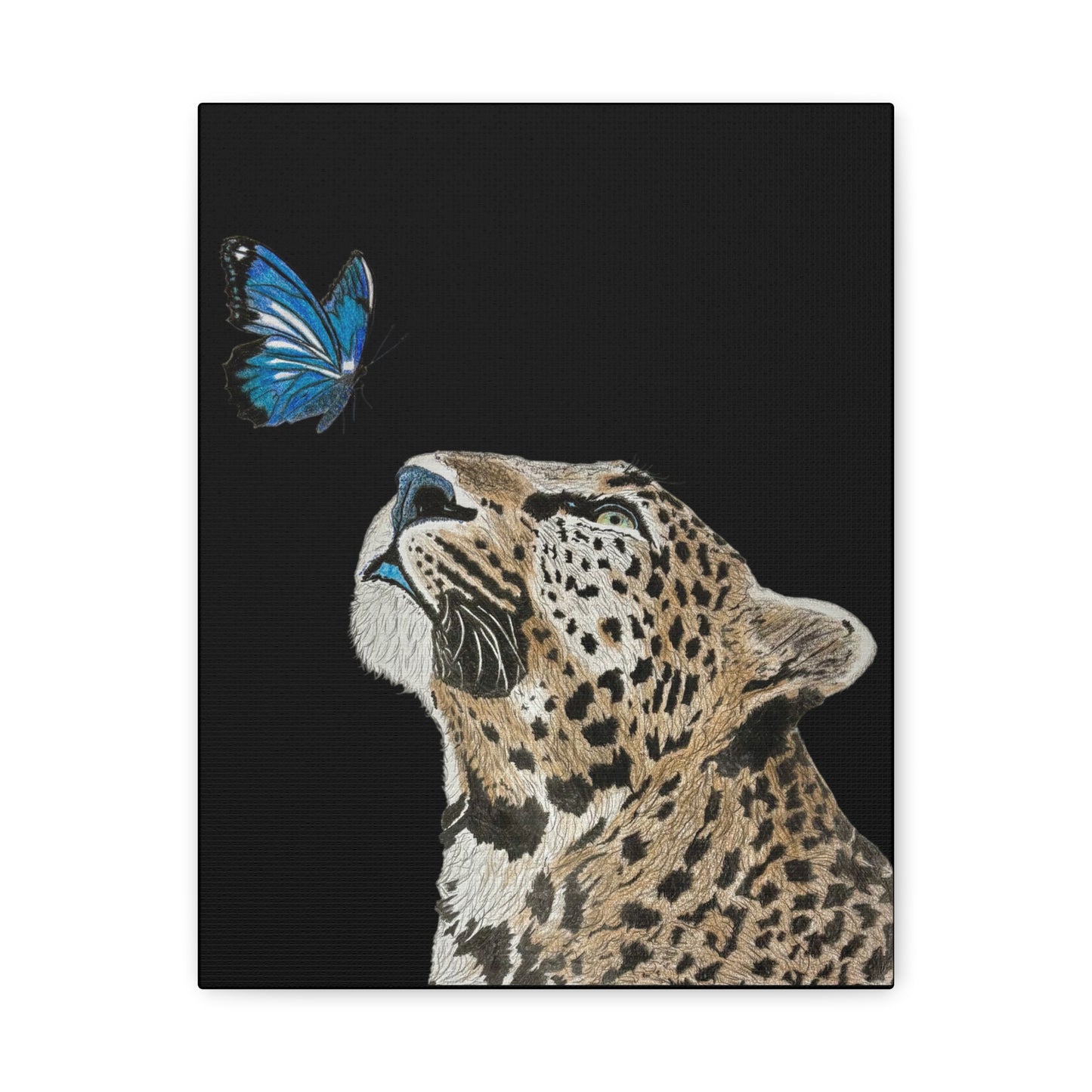 Butterfly Leopoard Canvas