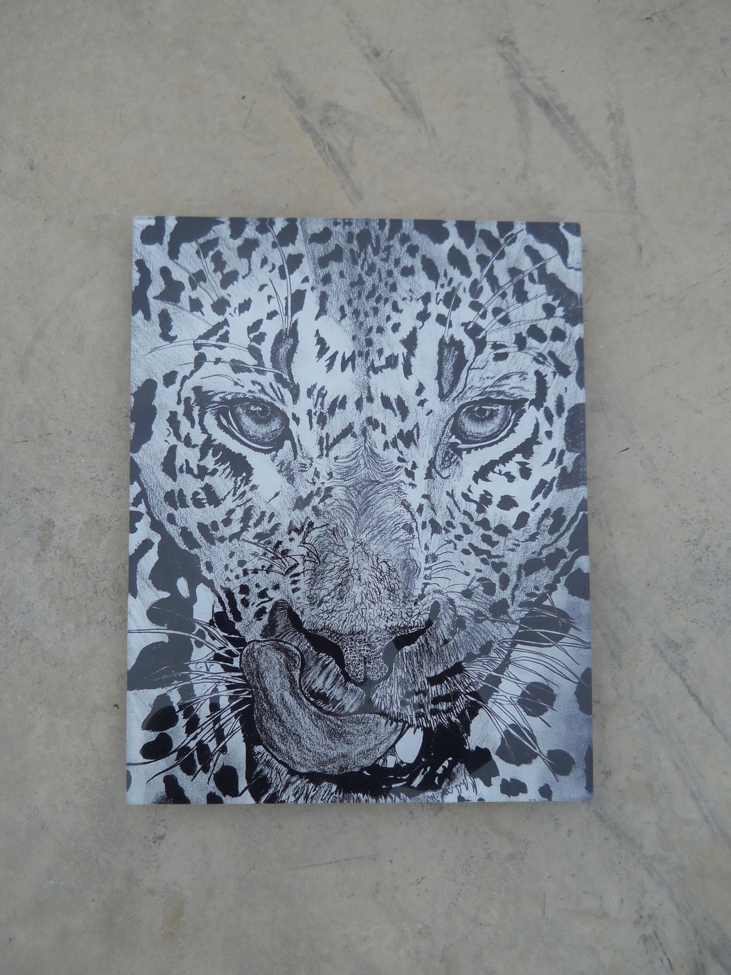 The Leopard Acrylic Prints