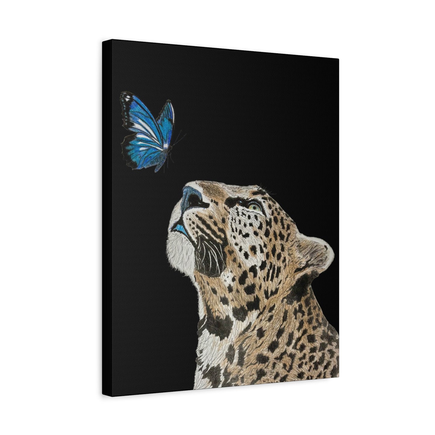 Butterfly Leopoard Canvas