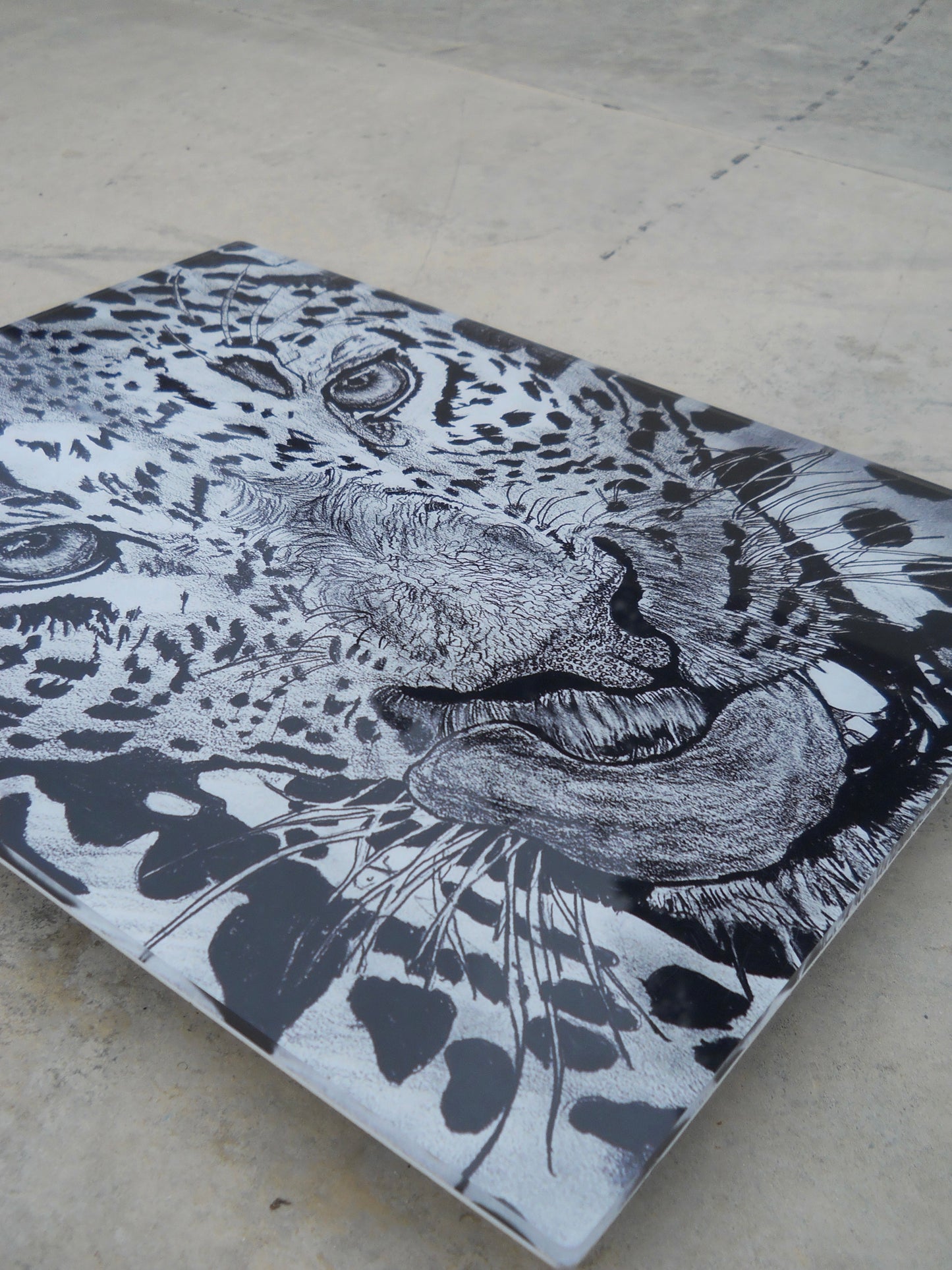 The Leopard Acrylic Prints