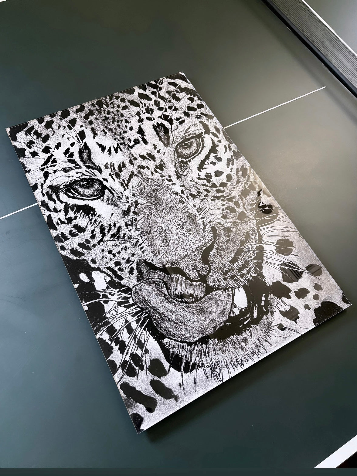 Leopard