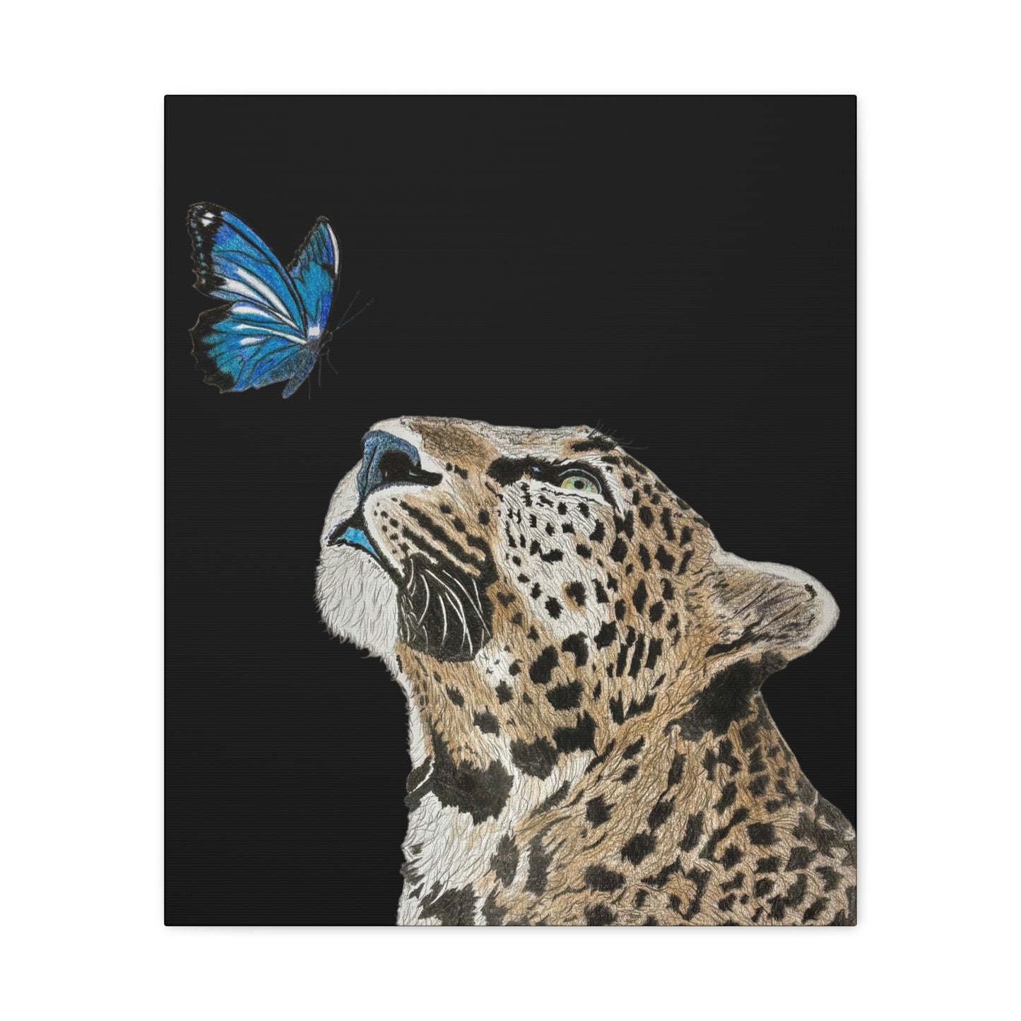 Butterfly Leopoard Canvas