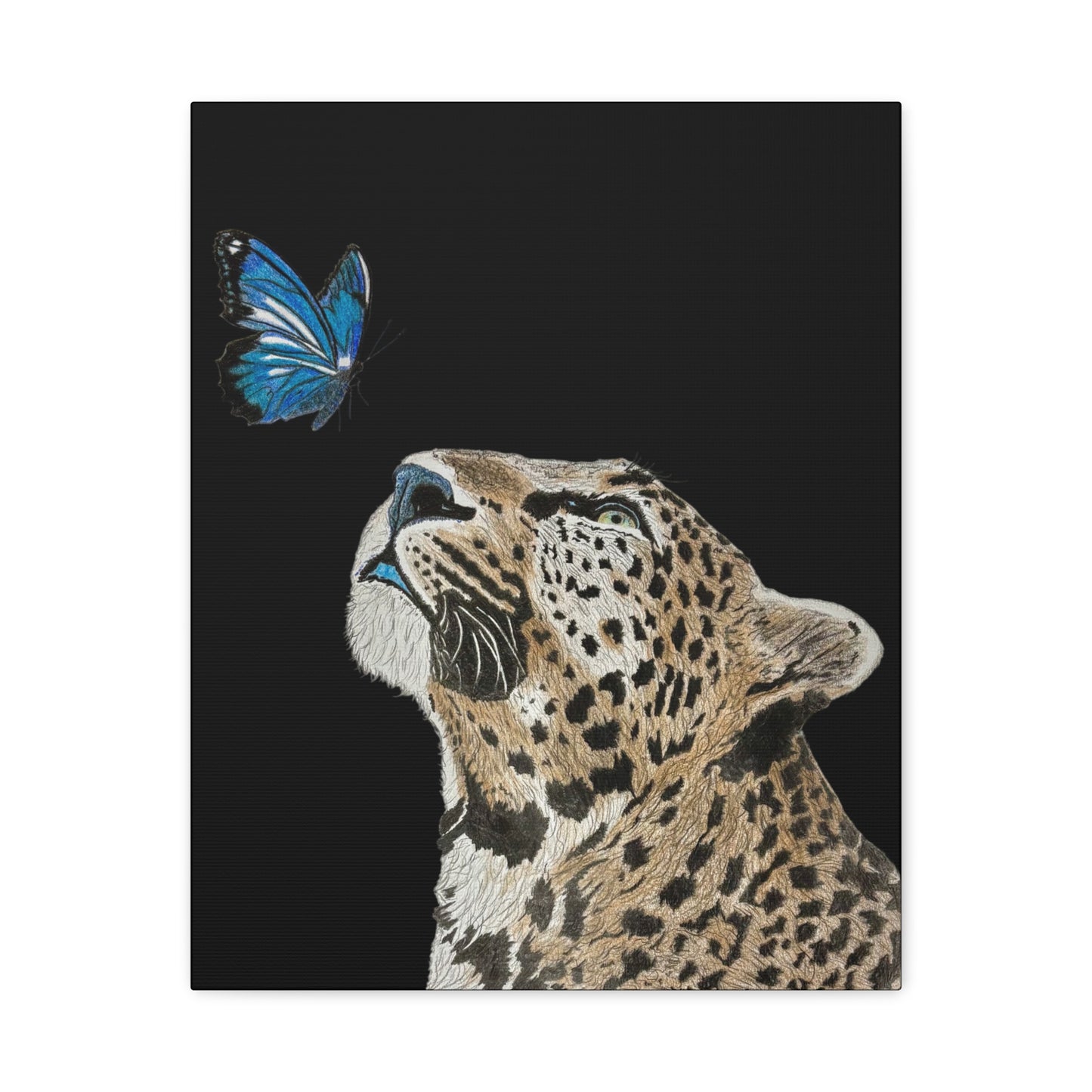 Butterfly Leopoard Canvas