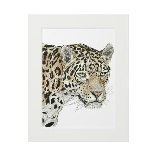 The Jaguar Paper Prints
