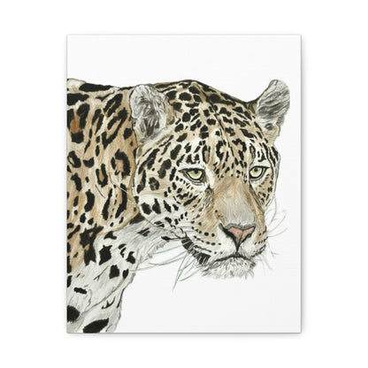 The Jaguar Canvas