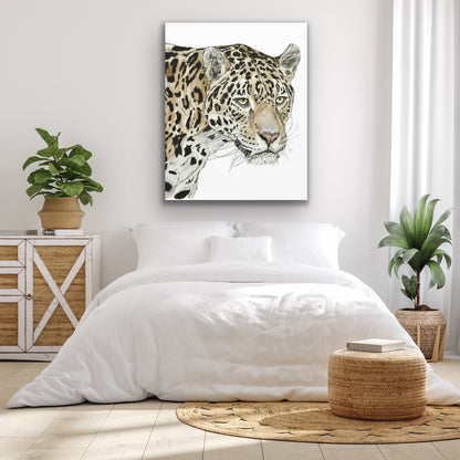 The Jaguar Canvas