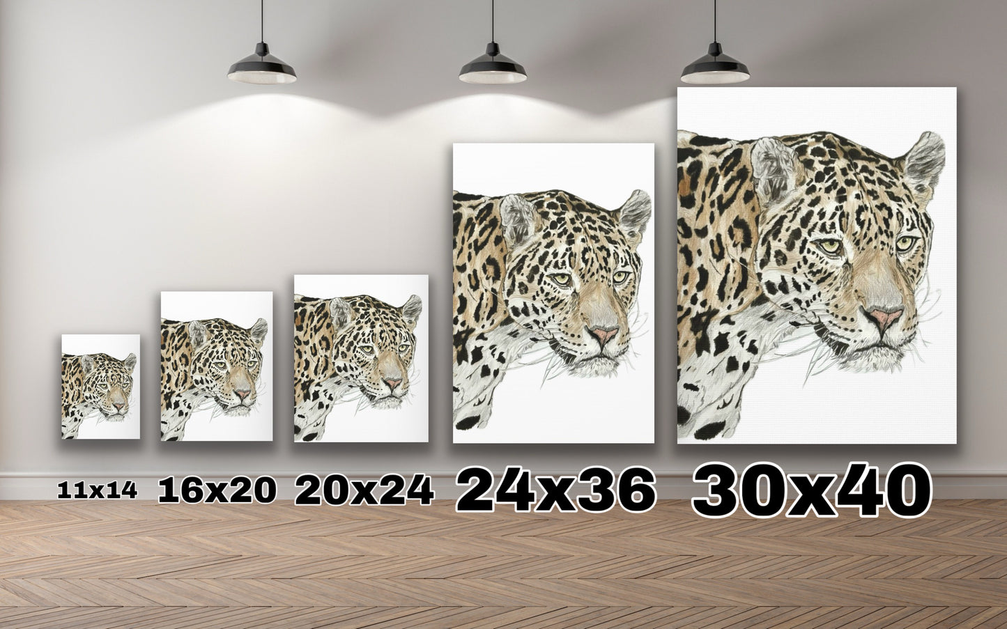 The Jaguar Canvas