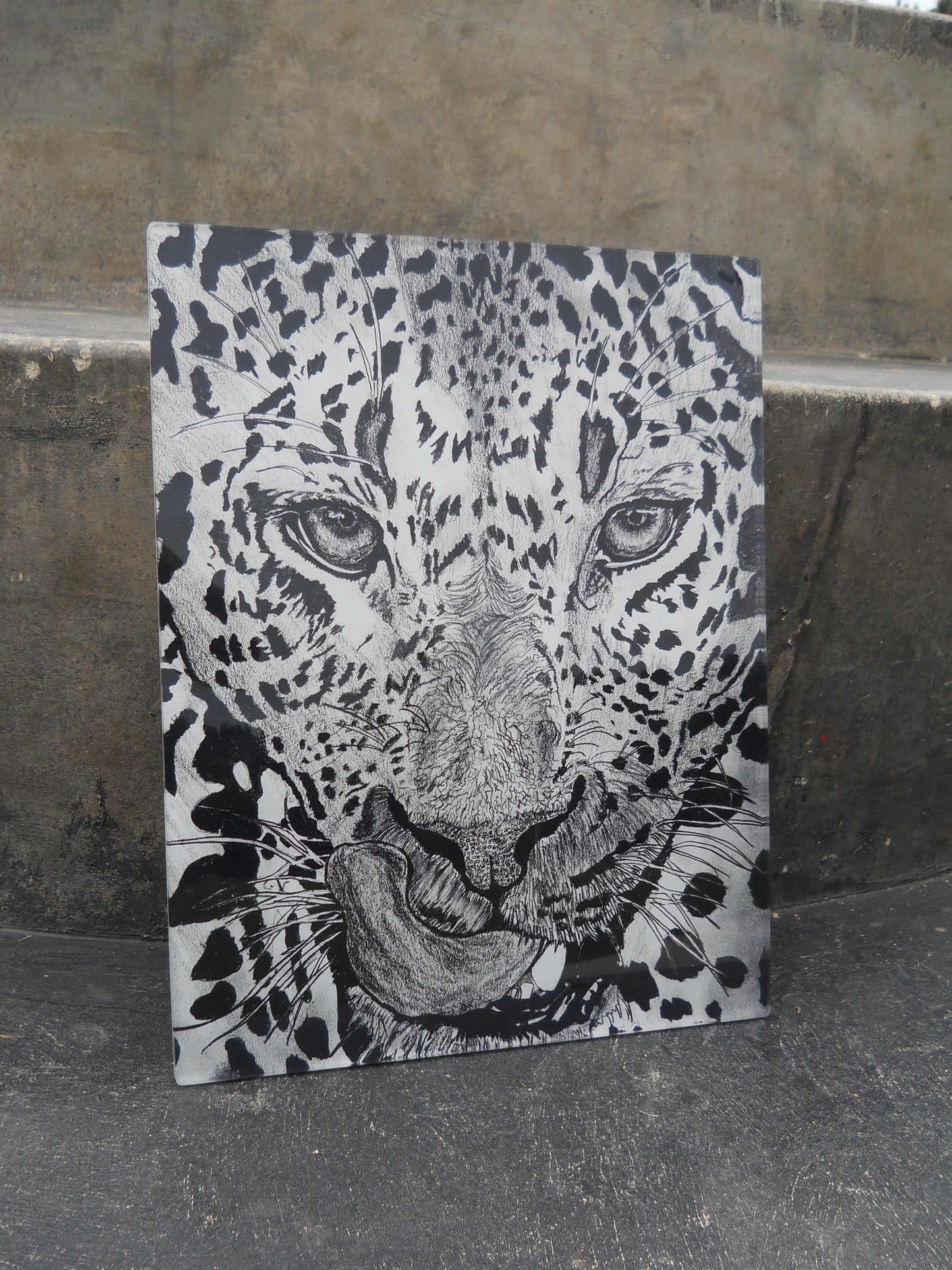 The Leopard Acrylic Prints
