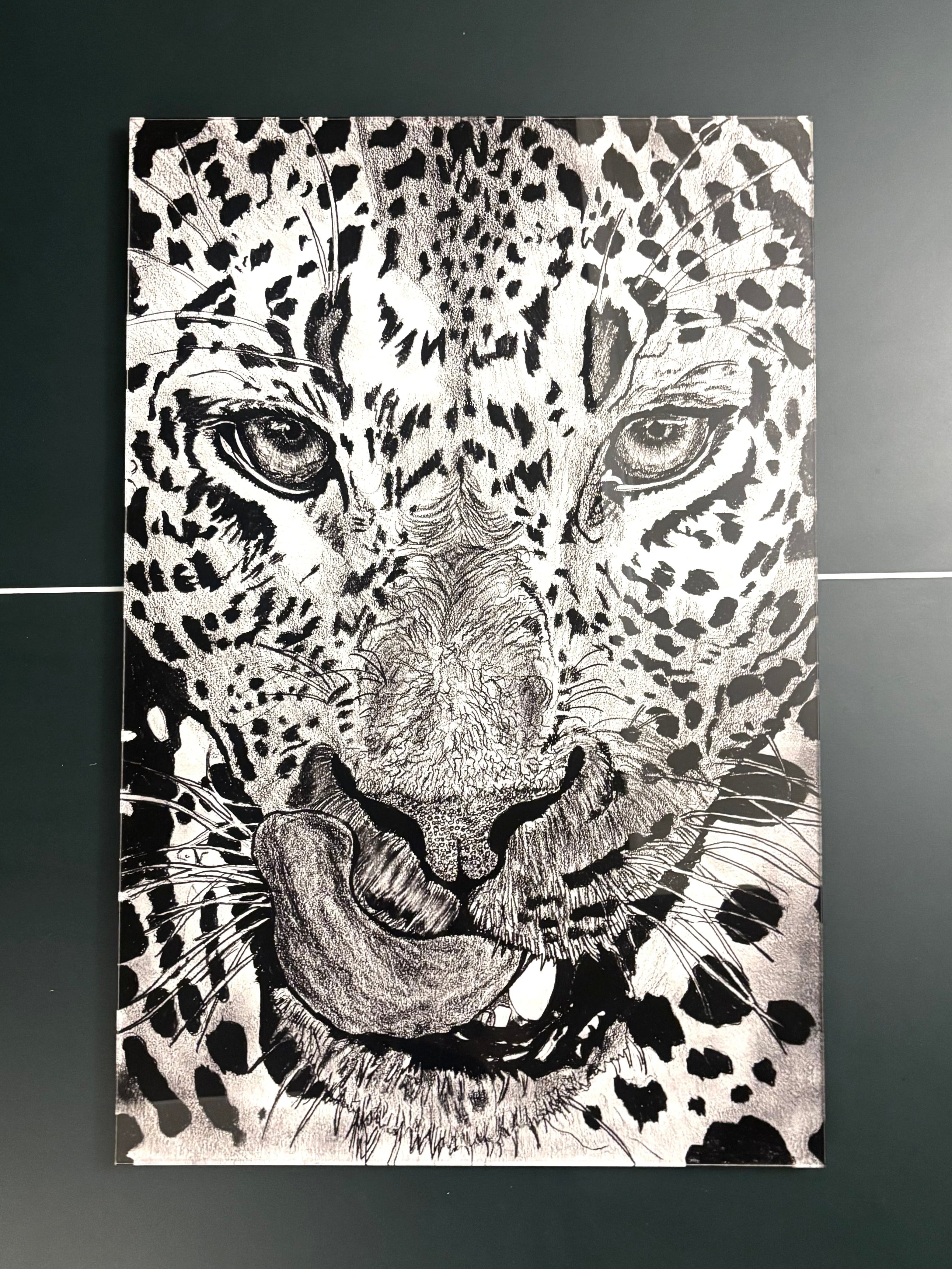 Leopard