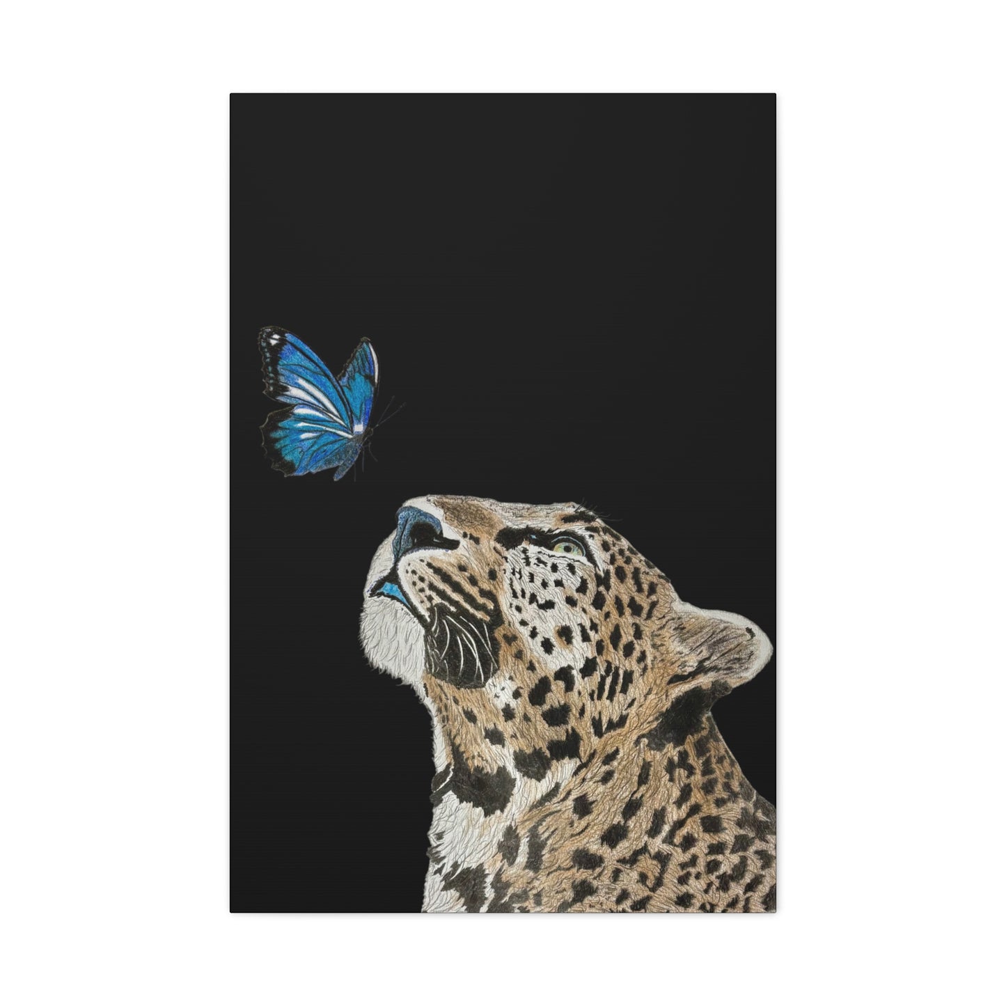 Butterfly Leopoard Canvas